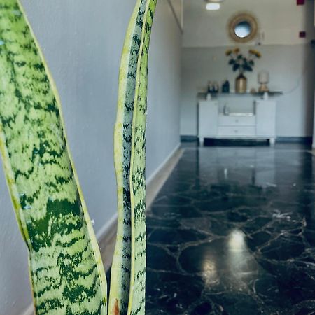 Aktaion Hotel Skala Alykis Экстерьер фото