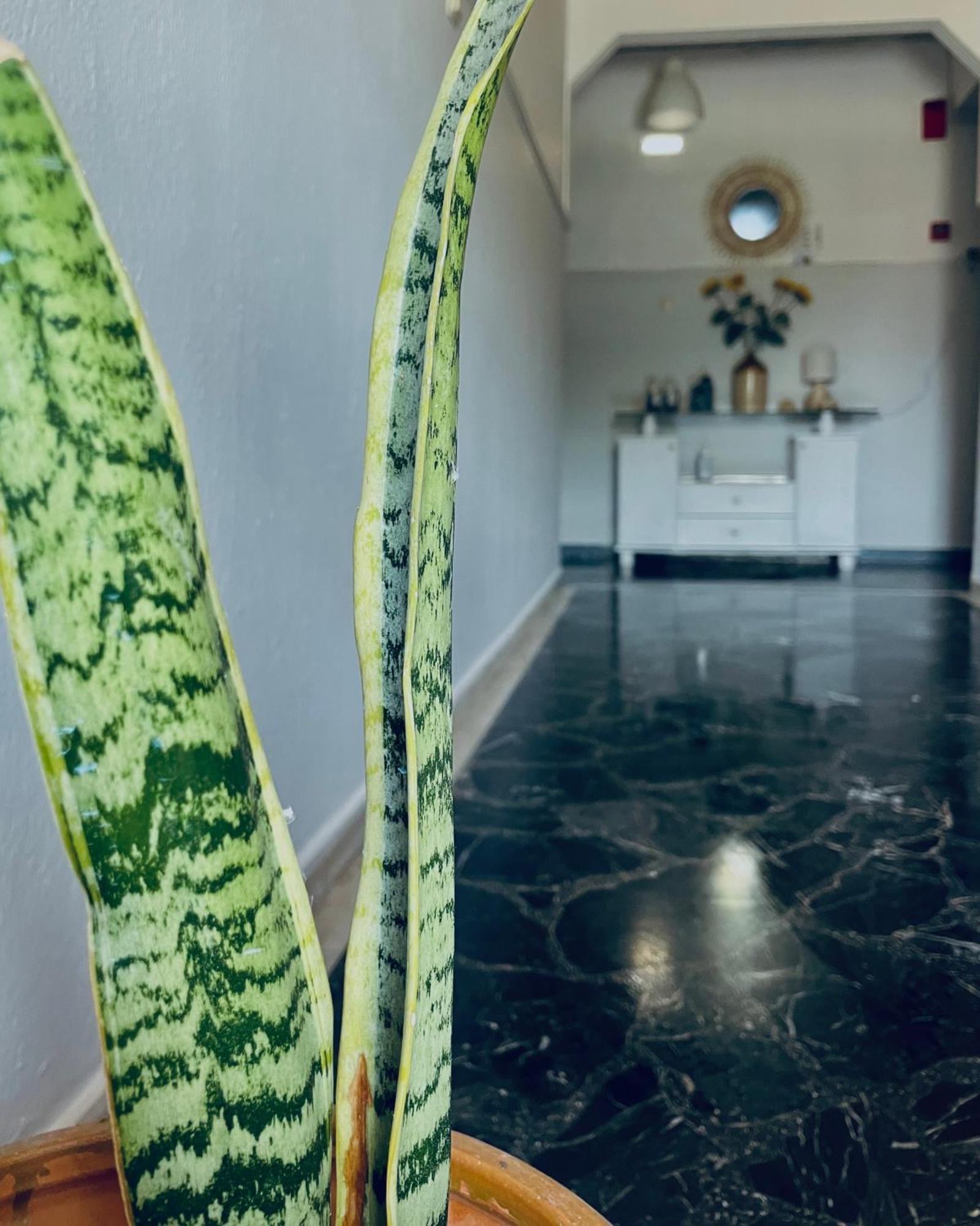 Aktaion Hotel Skala Alykis Экстерьер фото