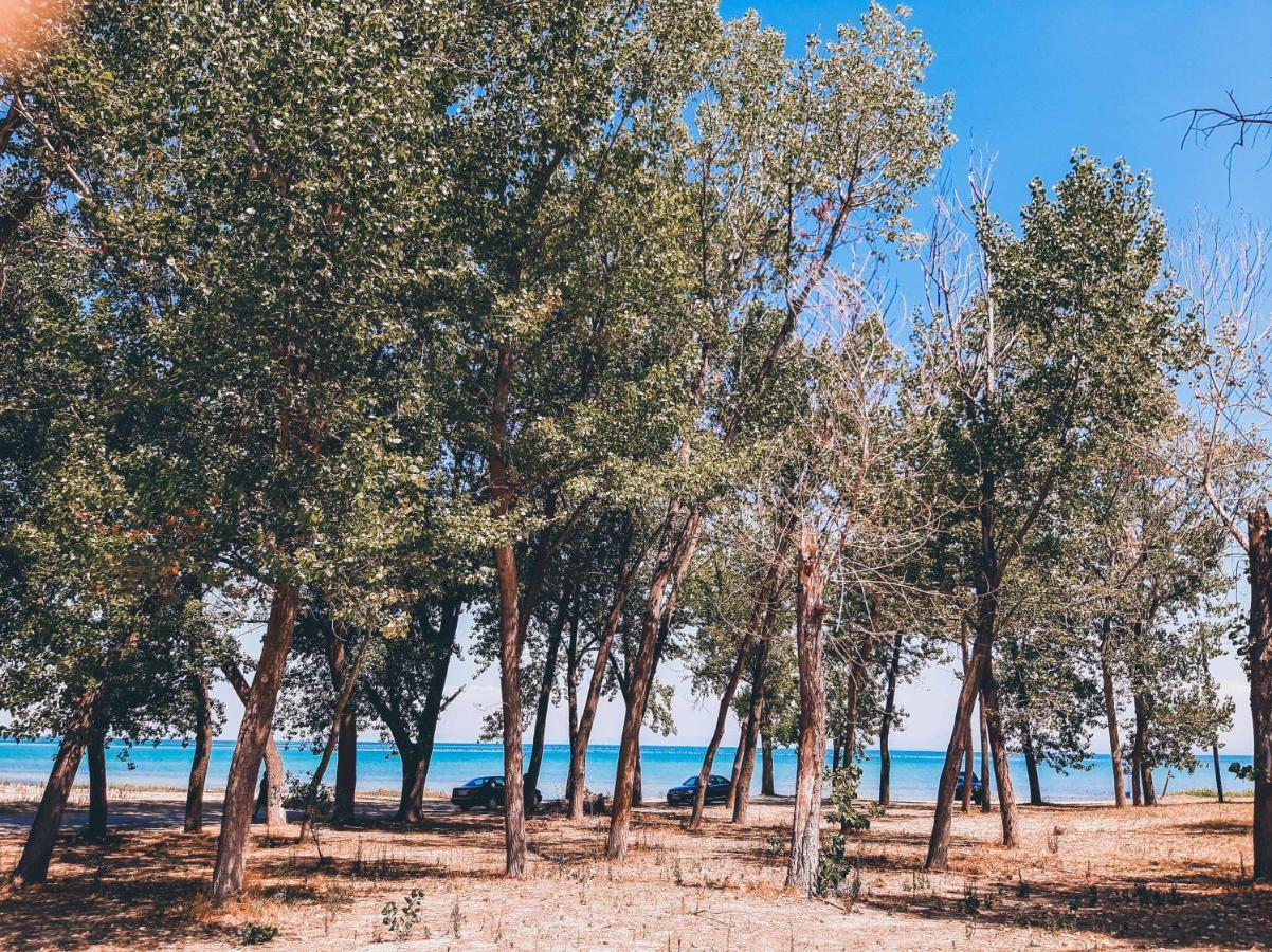 Aktaion Hotel Skala Alykis Экстерьер фото